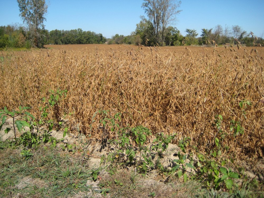 Property photo 4 - 22.51 Acres in 1 Tract