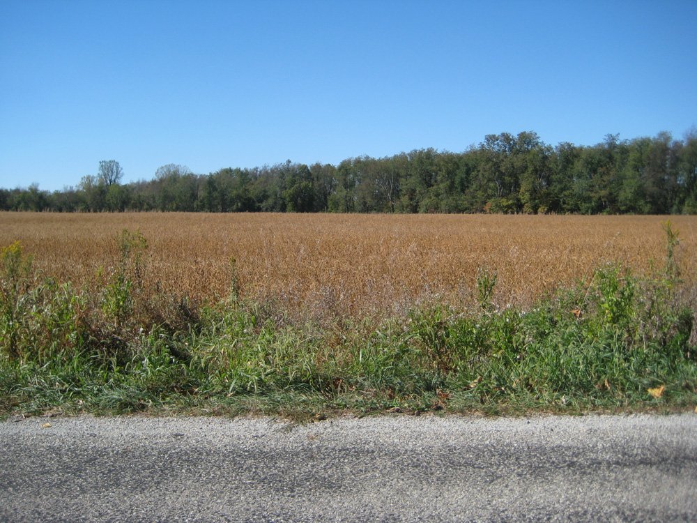 Property photo 2 - 22.51 Acres in 1 Tract