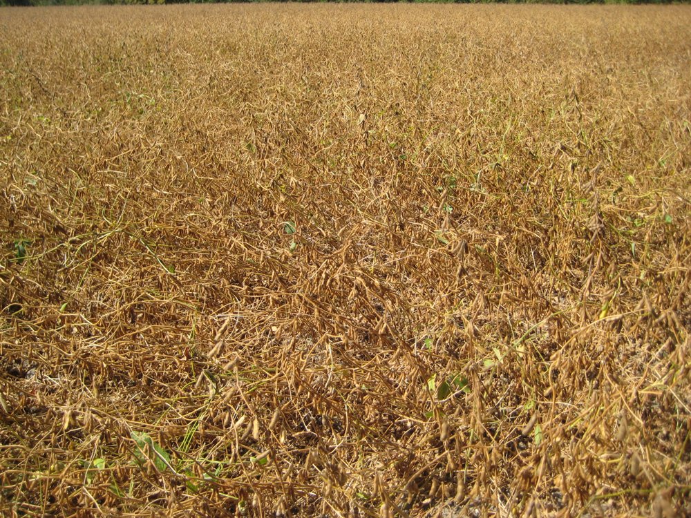 Property photo 1 - 22.51 Acres in 1 Tract