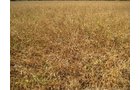 Property photo 1 - 22.51 Acres in 1 Tract