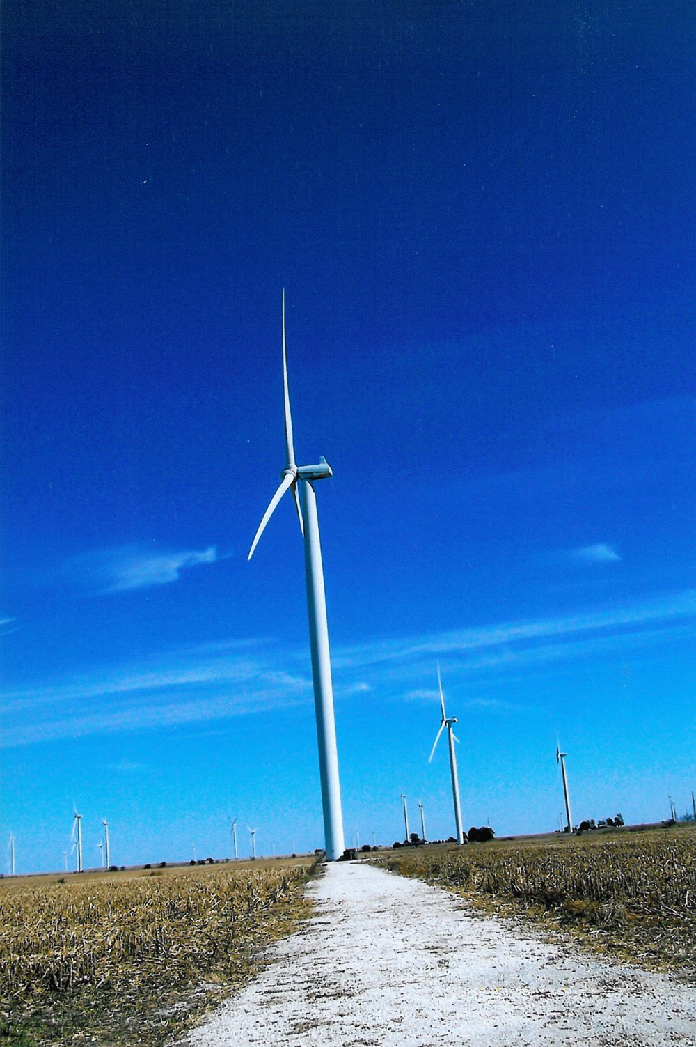 Property photo 3 - Benton County Land Auction