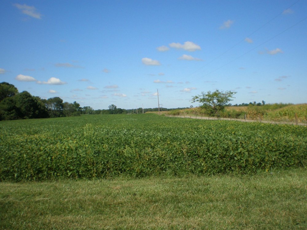Property photo 1 - 223 Acres-5 Tracts