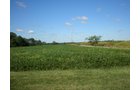 Property photo 1 - 223 Acres-5 Tracts