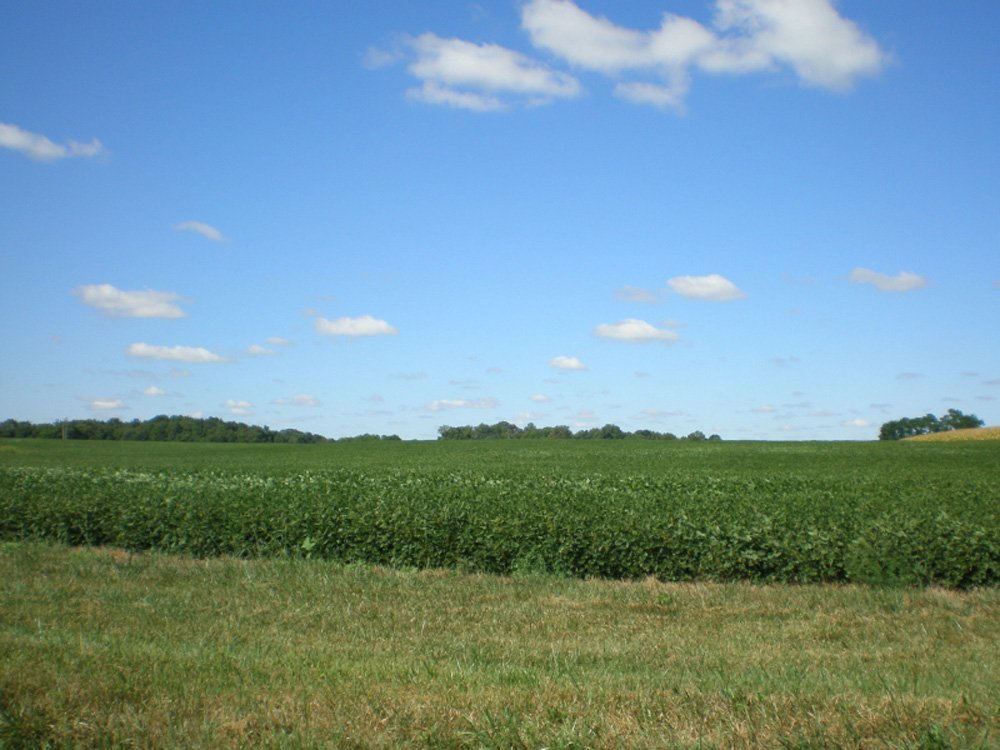 Property photo 2 - 223 Acres-5 Tracts