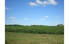Property photo 2 - 223 Acres-5 Tracts