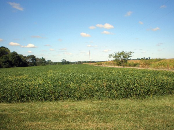 223 Acres-5 Tracts