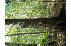 Property photo 25 - 97+/- Acres Offered in 4 Tracts