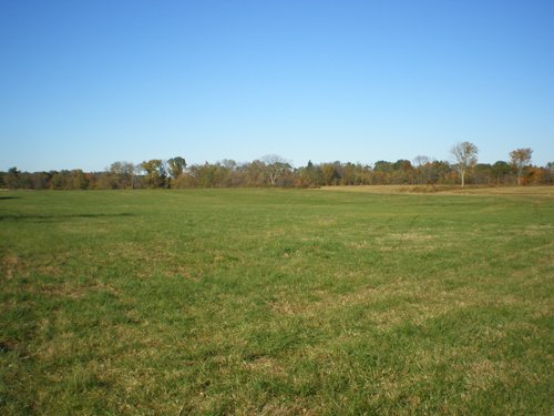 Property photo 4 - 97+/- Acres Offered in 4 Tracts