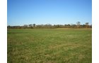 Property photo 4 - 97+/- Acres Offered in 4 Tracts