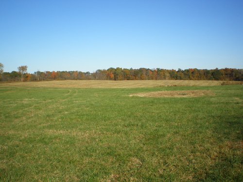 Property photo 18 - 97+/- Acres Offered in 4 Tracts