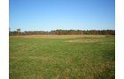 Property photo 18 - 97+/- Acres Offered in 4 Tracts