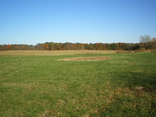 Property photo 15 - 97+/- Acres Offered in 4 Tracts