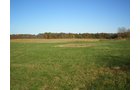 Property photo 15 - 97+/- Acres Offered in 4 Tracts