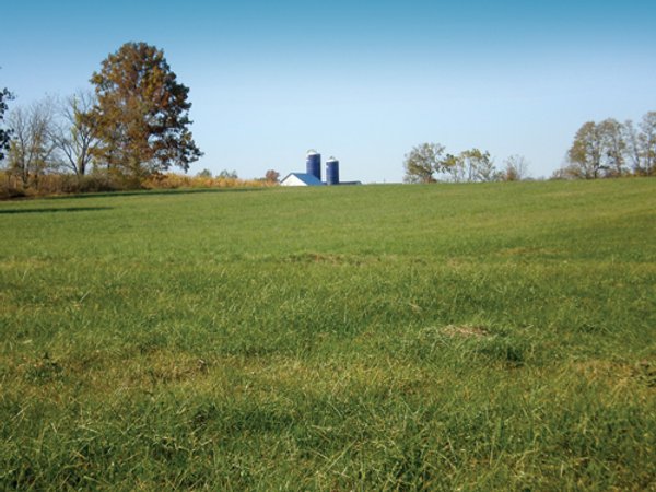97+/- Acres Offered in 4 Tracts