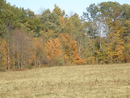 Property photo 8 - 97+/- Acres Offered in 4 Tracts