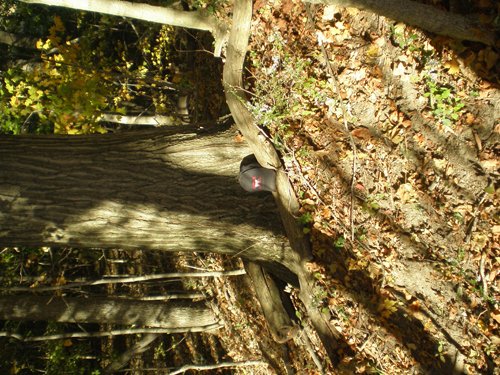 Property photo 5 - 97+/- Acres Offered in 4 Tracts