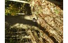 Property photo 5 - 97+/- Acres Offered in 4 Tracts