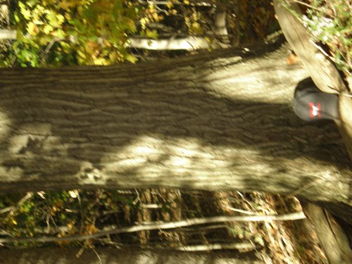 Property photo 6 - 97+/- Acres Offered in 4 Tracts