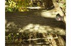 Property photo 6 - 97+/- Acres Offered in 4 Tracts