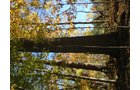 Property photo 2 - 97+/- Acres Offered in 4 Tracts