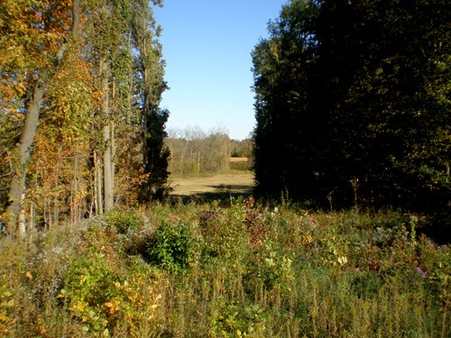 Property photo 32 - 97+/- Acres Offered in 4 Tracts