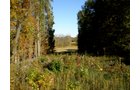 Property photo 32 - 97+/- Acres Offered in 4 Tracts