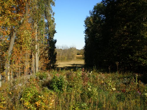 Property photo 12 - 97+/- Acres Offered in 4 Tracts