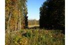 Property photo 12 - 97+/- Acres Offered in 4 Tracts