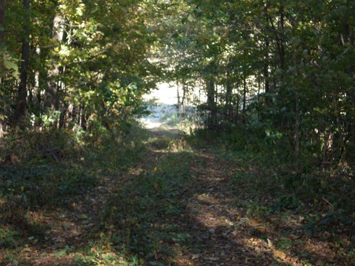 Property photo 13 - 97+/- Acres Offered in 4 Tracts