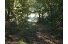 Property photo 13 - 97+/- Acres Offered in 4 Tracts