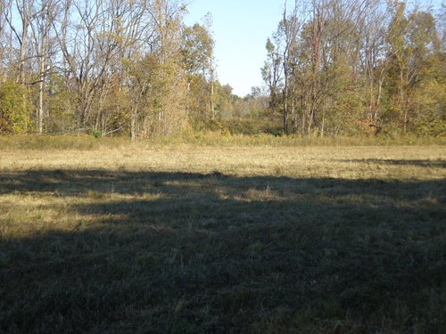 Property photo 20 - 97+/- Acres Offered in 4 Tracts
