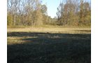Property photo 20 - 97+/- Acres Offered in 4 Tracts