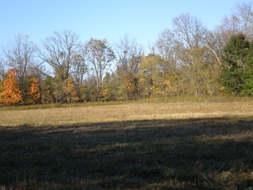 Property photo 28 - 97+/- Acres Offered in 4 Tracts