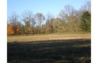 Property photo 28 - 97+/- Acres Offered in 4 Tracts