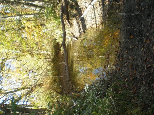 Property photo 21 - 97+/- Acres Offered in 4 Tracts
