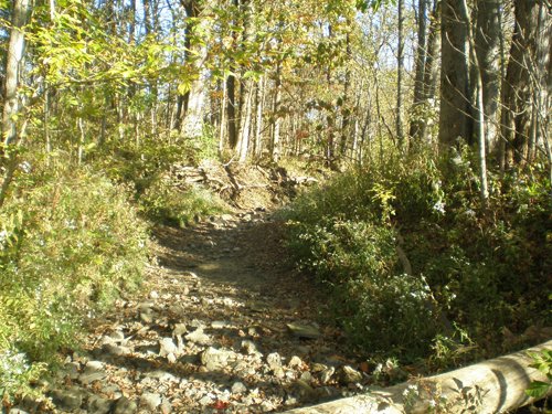 Property photo 31 - 97+/- Acres Offered in 4 Tracts