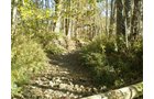 Property photo 31 - 97+/- Acres Offered in 4 Tracts