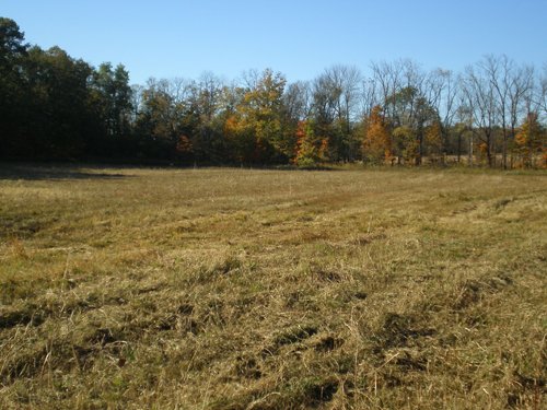 Property photo 19 - 97+/- Acres Offered in 4 Tracts