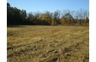 Property photo 19 - 97+/- Acres Offered in 4 Tracts
