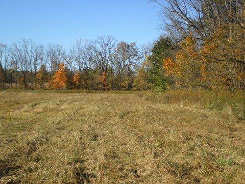 Property photo 24 - 97+/- Acres Offered in 4 Tracts
