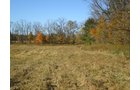 Property photo 24 - 97+/- Acres Offered in 4 Tracts
