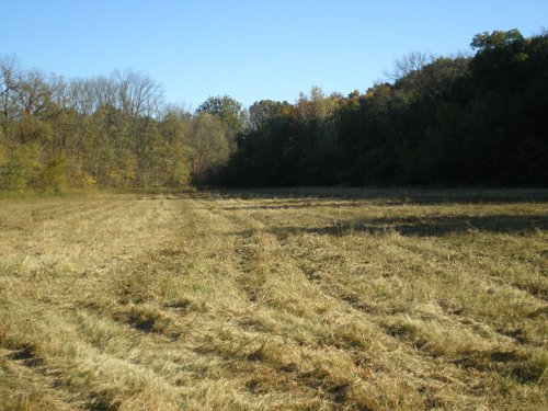 Property photo 30 - 97+/- Acres Offered in 4 Tracts
