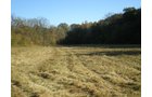 Property photo 30 - 97+/- Acres Offered in 4 Tracts