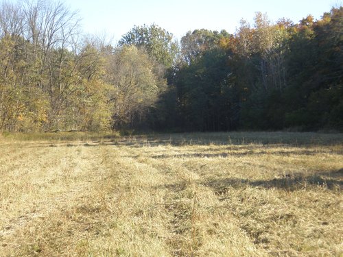 Property photo 27 - 97+/- Acres Offered in 4 Tracts