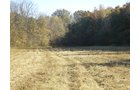 Property photo 27 - 97+/- Acres Offered in 4 Tracts