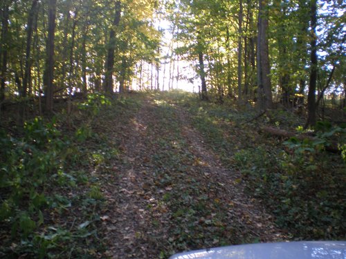 Property photo 3 - 97+/- Acres Offered in 4 Tracts