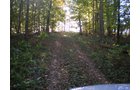 Property photo 3 - 97+/- Acres Offered in 4 Tracts