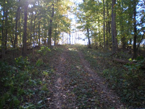 Property photo 14 - 97+/- Acres Offered in 4 Tracts