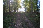 Property photo 14 - 97+/- Acres Offered in 4 Tracts