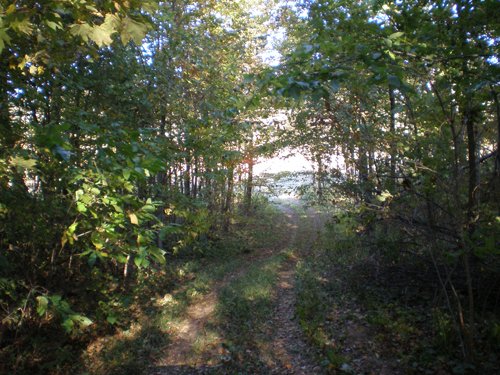 Property photo 9 - 97+/- Acres Offered in 4 Tracts